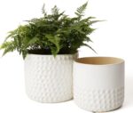 La Jolie Muse Ceramic Planter Flower Plant Pots- 6.7+5.5 Inch Concave Dot Patter... - Image 2