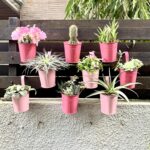 LaLaGreen Railing Planters Outdoor -10 Pack, 4 Inch Metal Hanging Flower Bucket,... - Image 2