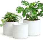 Large Plant Pots Set of 3 – 8", 9", 10" Indoor Flower Pots with Drainage Holes a... - Image 2