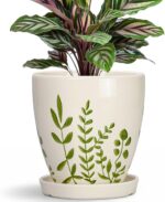 MPotTo Ceramic Pots for Plants - 6 Inch Plant Pot for Indoor Outdoor Plants, Cer... - Image 2