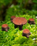 Miniature Garden Furniture Resin Table Chairs Figurines, Fairy Garden Accessorie... - Image 2