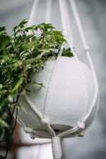 Minimalist Macrame Plant Hanger White (Off-White) - Image 2