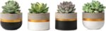 Mkono 3 Inch Mini Succulent Pots Concrete Planter Set, Modern Tiny Container for... - Image 2