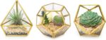Mkono 4 Inches Mini Glass Geometric Terrarium Container Set of 3 Modern Tabletop... - Image 2