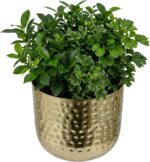 MyGift 6-Inch Shiny Brass Tone Metal Plant Pot with Hammered Texture, Cylindrica... - Image 2