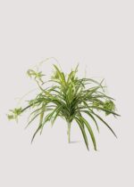 Natural Touch Fake Spider Plant - 32" - Image 2