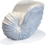 Nautilus Shell Sculpture - Replica Beach Themed Ocean Decor for Home - Rustic Wh... - Image 2