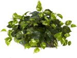 Nearly Natural 15in. Pothos Ledge Plant (Set on Foam) Silk Plant,Green - Image 2