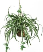 Nearly Natural 6607 Spider Hanging Basket Decorative Silk Plant, Green,10.25" x ... - Image 2