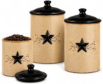 Park Designs Stoneware Star Vine 3 Piece Canister Set | Farmhouse Rustic Counter... - Image 2