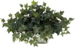 Pemberly Row Ivy Silk Plant, Green Faux Florals with White Wash Planter, 14 in H... - Image 2