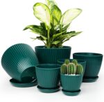 Plant Pots Indoor with Saucers & Drainage - 6 Pack Flower Pots - Plastic Planter... - Image 2