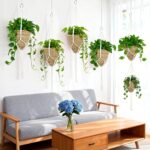 RAINFLOW Macrame Plant Hanger - 5 PCS Hanging Planters for Indoor Plants Outdoor... - Image 2