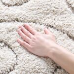 SAFAVIEH Florida Shag Collection Area Rug - 5'3" x 7'6", Cream & Beige, Scroll D... - Image 2