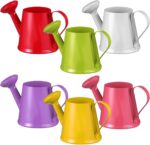 SHINEOFI 6pcs Miniature Watering Can Set Mini Watering Pot for Indoor Plants, De... - Image 2