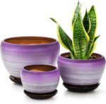 SOUJOY Set of 3 Ceramic Flower Pots, Gardening Plant Pot with Drainage Holes and... - Image 2