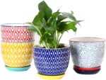 Selamica Ceramic Plant Pots, 5.6 Inch Flower Pots for Indoor Plants, Planters wi... - Image 2