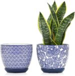 Selamica Ceramica Plant Pots, 6.5 Inch Flower Pots Set of 2 with Drainage Holes ... - Image 2