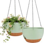 Set of 2-8 Inch Self Watering Hanging Planters for Indoor Outdoor，Hanging Plant ... - Image 2