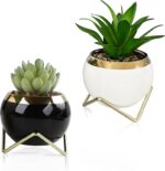 Set of 2 Artificial Succulents in Ceramic pots with Elegant Iron Frames and Deli... - Image 2