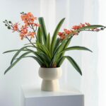 Set of 3pcs Real Touch Artificial Cymbidium Plants with Stems and Roots and 2pcs... - Image 2
