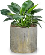 Small Ceramic Pot for Indoor Plants, 5.3 inch Plant Pot with Drainage Hole Decor... - Image 2