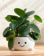 Smily Face Planter Pot Funny Toilet Plant Pots Cute Ceramic Flower Head Planters... - Image 2