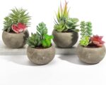 Succulents Plants Artificial 4 Pack, Mini Fake Succulents in Pots, Assorted Smal... - Image 2