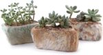 T4U 5.5 Inch Ceramic Succulent Pot Planter with Drainage Hole Set of 3, Stone Sh... - Image 2