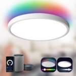 TALOYA Smart Ceiling Light Flush Mount LED WiFi,Compatible with Alexa Google Hom... - Image 2