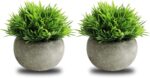 THE BLOOM TIMES 2 Pcs Small Fake Plants for Home Decor Indoor, Artificial Faux P... - Image 2