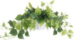 Tiita 1 Pack Fake Plants Artificial Scindapsus Aureus in Pots, Realistic Fake Gr... - Image 2
