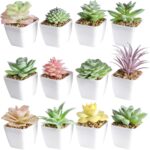 Tiita Artificial Faux Succulents in Pots Fake Plants Plastic Arrangement Planter... - Image 2