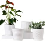 Ton Sin Plant Pots,White 6 Inch Flower Pots for Plants,Ceramic Planter with Drai... - Image 2