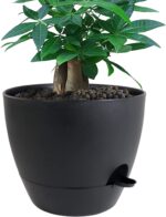UOUZ 12 inch Large Self Watering Pots, Plastic Planters with 60oZ Removable Deep... - Image 2