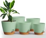 Utopia Home Self Watering Pots for Indoor Plants, Planters for Indoor Plants, Mu... - Image 2