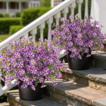 VIERENA 2 Set of Artificial Morning Glory & Eucalyptus Topiary Trees - Faux Silk... - Image 2