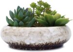 VanEnjoy 7.3 inch Round Large Shallow Succulent Ceramic Glazed Planter Pots with... - Image 2