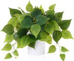 Waipfaru Faux Plants Indoor with Plastic Pots, Realistic Small Fake Plants, Fake... - Image 2