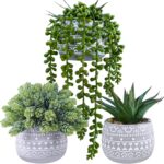 Winlyn 3 Pcs Assorted Small Potted Succulent Plants Artificial Aloe Hops String ... - Image 2