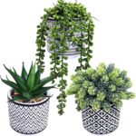 Winlyn 3 Pcs Small Potted Succulents Plants Artificial String of Pearls Aloe Hop... - Image 2