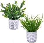 Winlyn Set of 2 Artificial Potted Plants Potted Eucalyptus Plant Artificial Gras... - Image 2