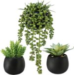 Winlyn Set of 3 Artificial Succulents Plants in Black Cement Planters Faux Potte... - Image 2