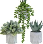 Winlyn Set of 3 Mini Artificial Succulent Plants Potted Small Fake Aloe Hops Str... - Image 2