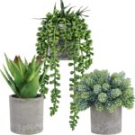 Winlyn Set of 3 Mini Potted Succulents Artificial String of Pearls Aloe Hops Suc... - Image 2
