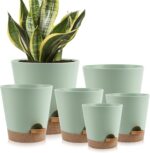 YNNICO Indoor Self Watering Planters with Drainage Holes and Saucers, 8, 7, 6.5,... - Image 2