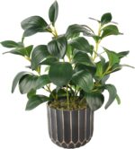 florisso Artificial Succulents with Fig Leaf Greenery in Black & Gold Planter, F... - Image 2