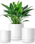 vancasso Ceramic Plant Pots, 3 Piece Planters for Indoor Plants, 4.25+5.25+6.25 ... - Image 2