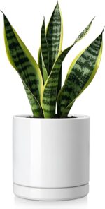 vancasso Ceramic Plant Pots, 6.25 Inch Ceramic Pot for Plants, Planters Pots for... - Image 2